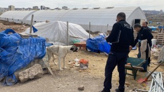 Köpeğin ısırdığı çocuk ağır yaralandı