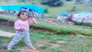 Küçük Evrimin sır perdesi 2 bin 72 gündür aralanamadı