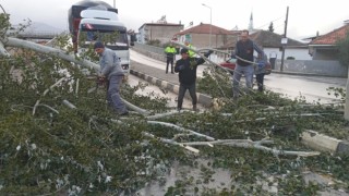 Manisada yarın için fırtına uyarısı