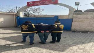 Mardinde havaya ateş eden iki şahıs tutuklandı