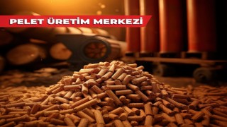 Merkezefendide parklardan toplanan kuru yapraklar ihtiyaç sahiplerine yakacak olacak