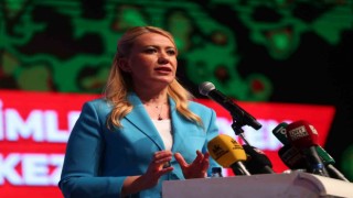 Merkezefendide sokak hayvanları bakımevi ve rehabilitasyon merkezi açılacak