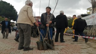 Mersinde 6 bin fidan ücretsiz dağıtıldı