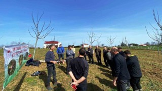 Meyvecilikte budamanın önemi ve budama sonrası dikkat edilecek hususlar