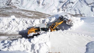 Muşta kar kalınlığının 7 metreyi bulduğu yolda çalışma