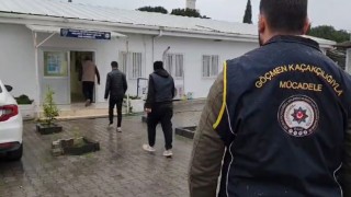 Osmaniye'de 34 Düzensiz Göçmen Yakalandı