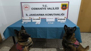Osmaniye'de Uyuşturucu Operasyonları Sonucu 22 Kişi Gözaltına Alındı