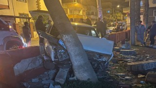 Otomobil parka girdi, ağaçlara çarparak durabildi