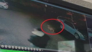 (Özel) Başıboş köpekler 2 çocuğu ısırdı..