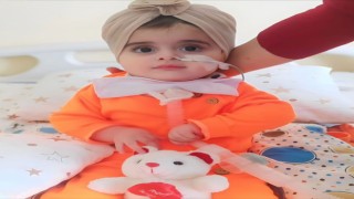 Park kavgası tatlıya bağlandı: Taraflar SMAlı Havvanura bağış yapma şartıyla anlaştı