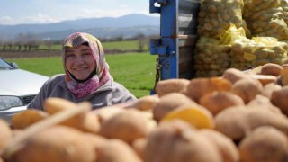 Patates diyarında çiftçiler ekim mesaisinde