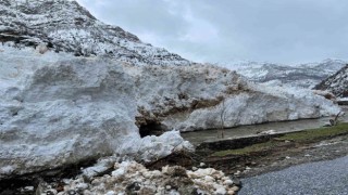 Pervari-Çatak yolu çığ nedeniyle ulaşıma kapandı