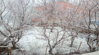 Posofta kar yağışı etkili oldu
