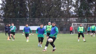 Sakaryaspor, Altay mesaisinde