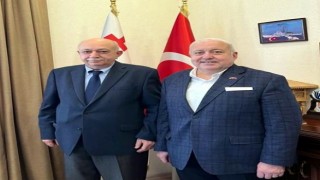 Samsun ve Gürcistan arasında iş birliği çalışmaları
