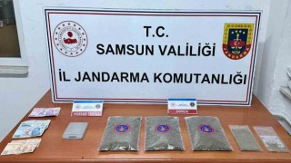 Samsunda jandarma 1 kilo 50 gram bonzai ele geçirdi: 1 gözaltı