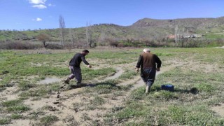 Sasonda şiddetli yağış sonrası dere taştı, çilek bahçesi su altında kaldı