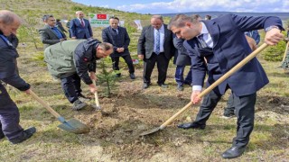 Şehitler için fidan dikildi