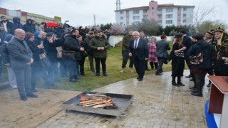 Sinopta nevruz kutlaması