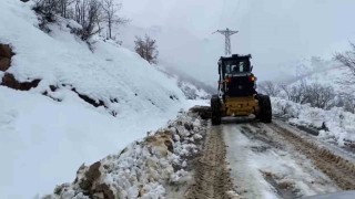 Şırnakta kar yağışı hayatı olumsuz etkiledi