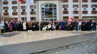 Sivrihisara hayran kaldılar