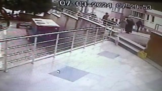 Sokak kedilerine çarpan sürücülere 14 bin 432 lira ceza