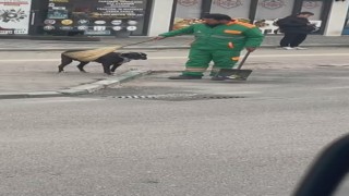 Sokak köpeğinin sırtını süpürge ile temizleyen görevli yüzleri gülümsetti