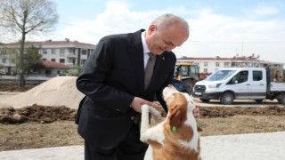 Sokaklarda saldırgan köpek kalmayacak