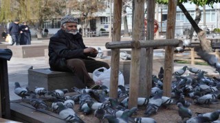 Sokaktaki kuşları yıllardır büyük bir özenle besliyor