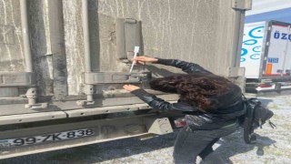 Sökenin balıkları, İtalya yolcusu