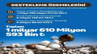 Tarımsal destekleme ödemeleri çiftçilerin hesaplarına aktarılıyor