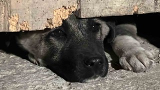 Tekstil atölyesinde çıkan yangını söndürme çalışmaları sürüyor