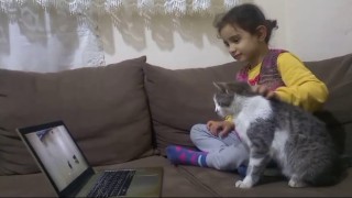 Telefon ve bilgisayar bağımlısı kedi