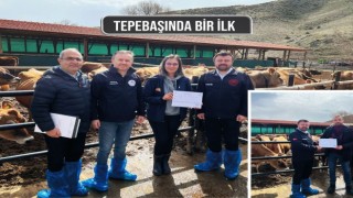 Tepebaşında bir çiftlik Avrupa Birliği onaylı sertifikasını aldı