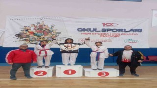 Tomarzalı gençler, Taekwondo Şampiyonasında dereceye girdi