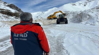 Vanda yetkililer çığ bölgesinde inceleme yaptı