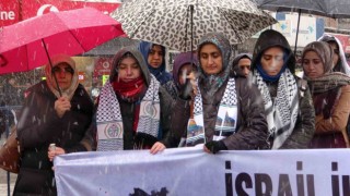Vandaki sağlık çalışanlarından kar yağışı altında Gazze için sessiz protesto