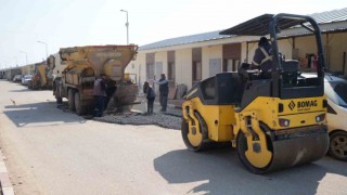 Vartana Prefabrik Yaşam Merkezinde asfalt çalışmaları devam ediyor