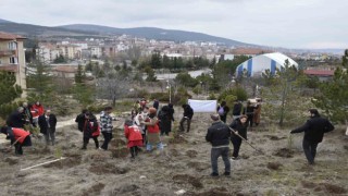 Yozgatta 300 fidan, depremde hayatını kaybeden kadınlar anısına toprakla buluştu