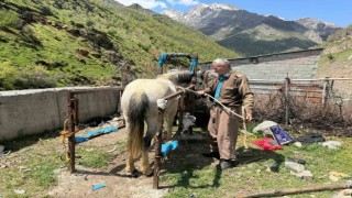 20 yıldır nalbantlık yapan usta, at ve katırların ayak bakımlarını yapıyor