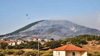3 gün boyunca yandı, yeniden orman olması 30 yıl sürecek
