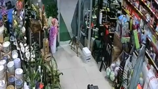Aç kalan tilki Japon pazarına girdi
