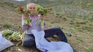 Adıyamanda ışkın toplamak için Türk Dağına tırmandılar