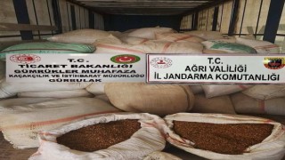 Ağrıda 7 ton 700 kilo kak tütün ele geçirildi