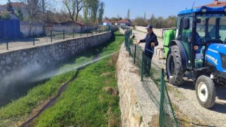 Alaca Belediyesinden haşere ile mücadele