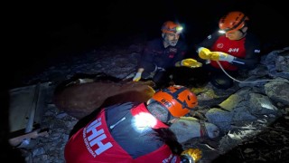 Alanyada kamyondan düşen dana 400 metrelik uçurumdan kurtarıldı