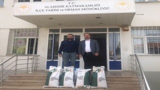 Alaşehirde sorgum otu yetiştirilmeye başlandı