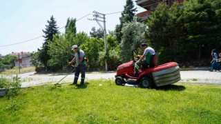 Altıeylülde parklara bahar bakımı