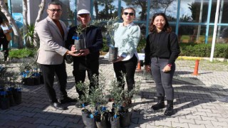 Antalya Büyükşehir Belediyesinden Serikli çiftçilere 700 zeytin fidanı