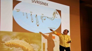 Antalyada sineksiz yaz için ekipler hem sahada hem eğitimde